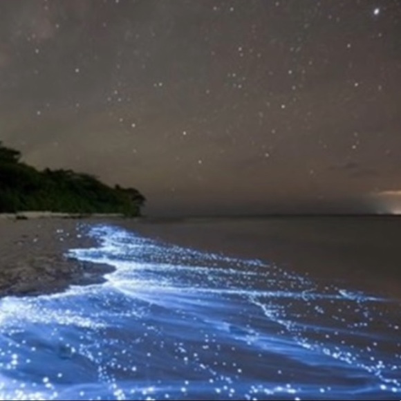 luuluuluna1